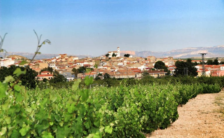 El vino, uno de los productos estrella de la Región de Murcia